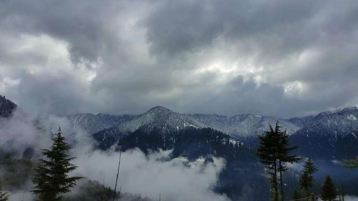 Deep In Woods Villa Jibhi Exterior photo