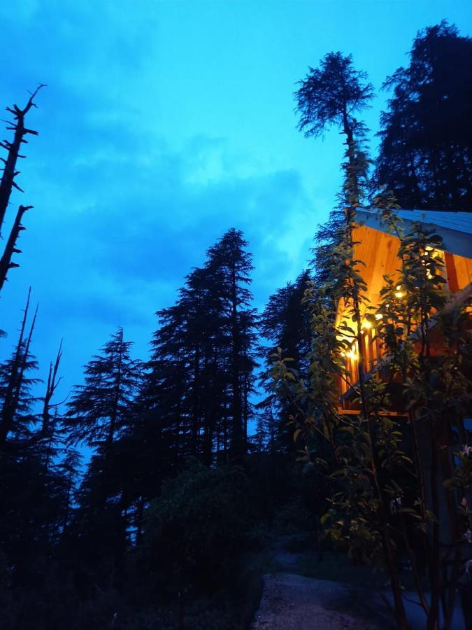 Deep In Woods Villa Jibhi Exterior photo