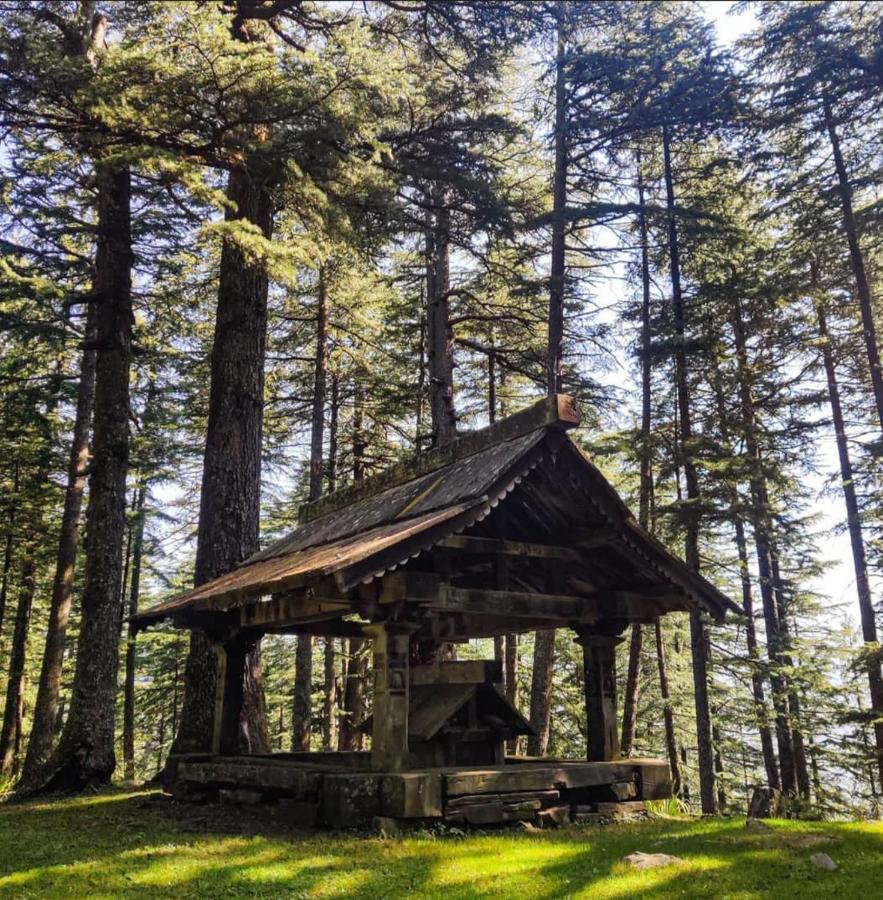 Deep In Woods Villa Jibhi Exterior photo
