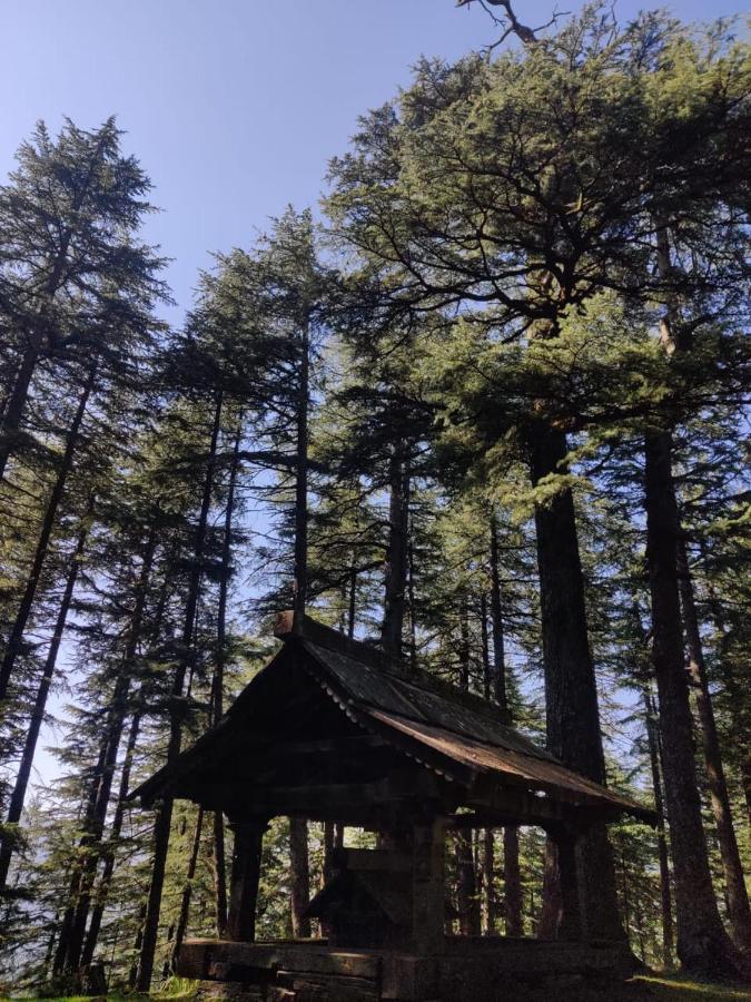 Deep In Woods Villa Jibhi Exterior photo