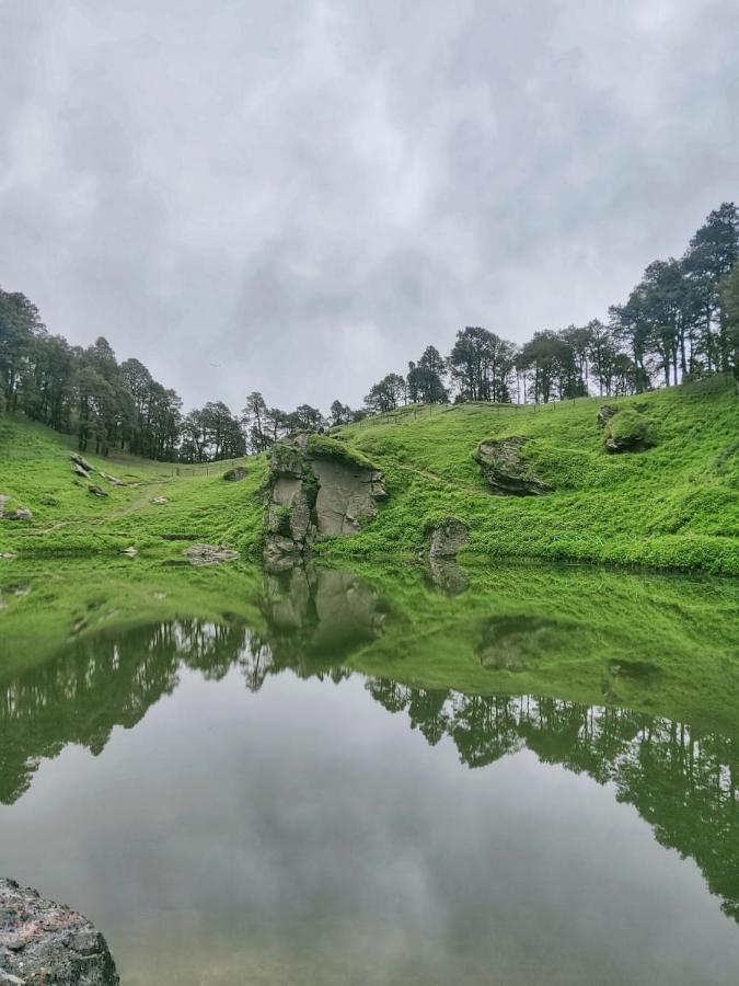 Deep In Woods Villa Jibhi Exterior photo